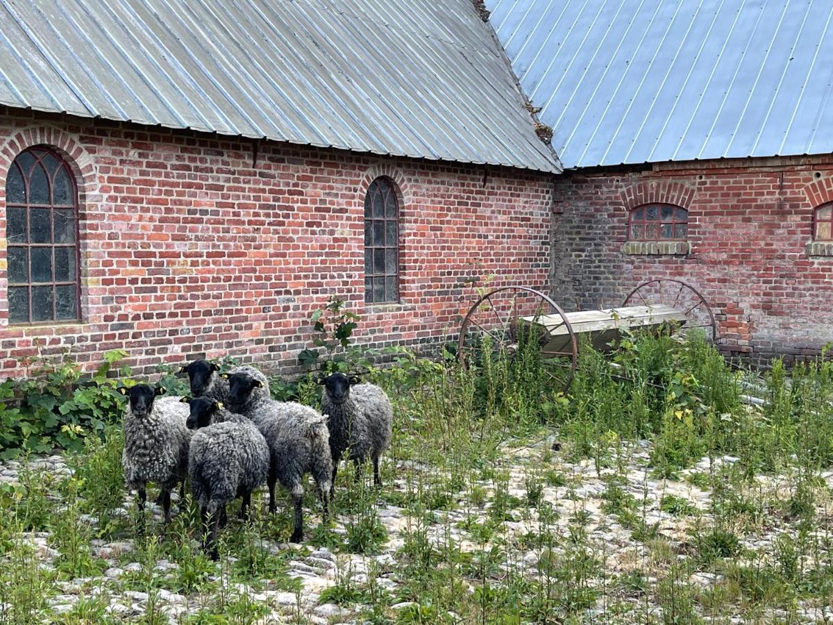 Store Stensig Frederikshavn Bagian luar foto